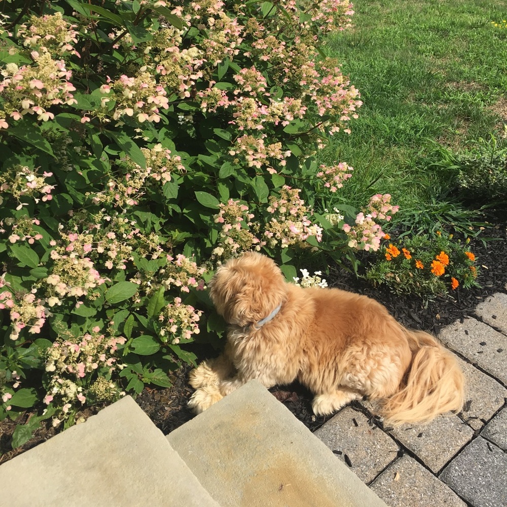 Meet your Posher, Michelle